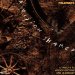 Various Artists - A Vision Shared: A Tribute To Woody Guthrie & Leadbelly
