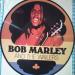 Bob Marley & The Wailers - Bob Marley & The Wailers