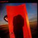 Lee Albert - Hiding