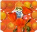 Brian Wilson - That Lucky Old Sun