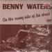Benny Waters - On The Sunny Side Of The Street