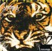 Survivor - Eye Of Tiger