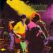 Chameleons - Live In Toronto