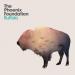 Phoenix Foundation (the) - Buffalo