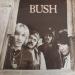 Bush - Bush