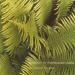 Edgar Froese - Epsilon In Malaysian Pale