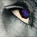 Horslips - The Book Of Invasions - A Celtic Symphony