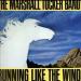 Marshall Tucker Band (the) - Running Like The Wind