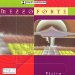 Mezzoforte - Rising