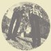 Ty Segall & White Fence - Hair