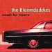 The Bloomdaddies - Mosh For Lovers