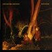 Echo And The Bunnymen - Crocodiles
