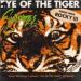 Survivor - Eye Of Tiger