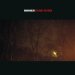 Calvi, Anna - Strange Weather