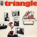 Triangle - Homonymie