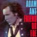 Ant Adam - Friend Or Foe