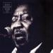 Muddy Waters - Muddy Mississippi Waters Live