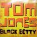 Tom Jones - Black Betty (remixes)