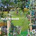 Paul Weller - 22 Dreams