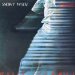 White Snowy - White Flames