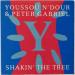 Gabriel, Peter (+ Youssou N'dour) - Shakin' The Tree