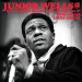 Junior Wells - Southside Blues Jam