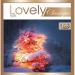 Various Artists - Lovely Classique Noel (coffret 5cd)