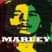 Macdonald, Kevin - Marley