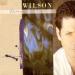 Brian Wilson - Brian
