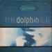 Séance - Blue Dolphin Blue