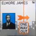 Elmore James - One Way Out