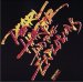 Pearl Harbor And The Explosions (with Pearl E. Gates) - Pearl Harbor And The Explosions