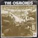 The Osmonds - Crazy Horse