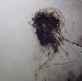 Peter Gabriel - Passion: Music From The Last Temptation Of Christ 2-lp Set