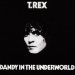 Bolan, Marc - Dandy In The Underworld
