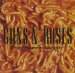 Guns N' Roses - The Spaghetti Incident?