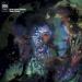 Orval Carlos Sibelius - Super Forma