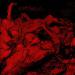 Catharsis - Passion