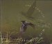 Mike Oldfield - Complete Mike Oldfield