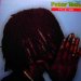Peter Tosh - Peter Tosh - Mystic Man - Rolling Stones Records - 1c 064-62 914, Emi Electrola - 1c 064-62 914