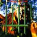 Tygers Of Pan Tang - The Cage