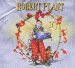 Robert Plant - Band Of Joy