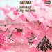 Caravan - In Land Of Grey And Pink