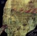 Out Of Focus - Out Of Focus