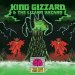 King Gizzard & The Lizard Wizard - I'm In Your Mind Fuzz