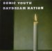 Sonic Youth - Daydream Nation