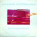 David Bowie - Pat Metheny Group - This Is Not America