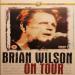 Brian Wilson - On Tour