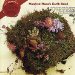 Manfred Mann's Earth Band - Good Earth