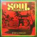 The Soul Sonics - Feelings